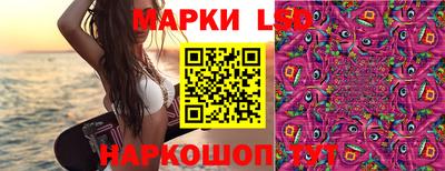 ГАЛЛЮЦИНОГЕННЫЕ ГРИБЫ Шебекино