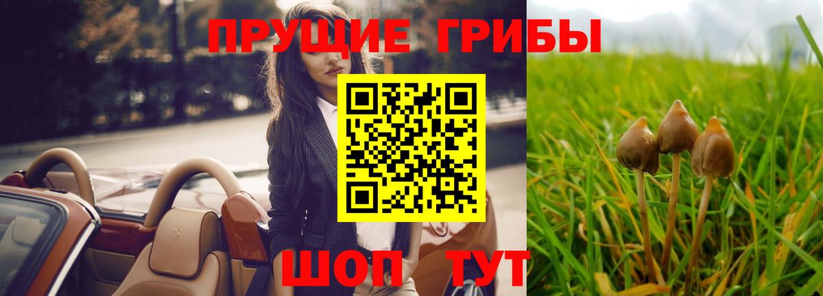 Надым  Галлюциногенные грибы ЛСД  Вход с VPN  Галлюциногенные грибы Psilocybine cubensis 